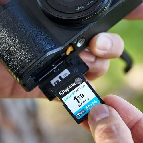 64GB Canvas Go Plus SD Card | Up to 200MB/s | 10, UHS-I, U3, V30 | SDG4/64GB