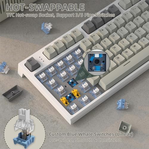 51dHqA4WFcL._AC_SL1500_-1