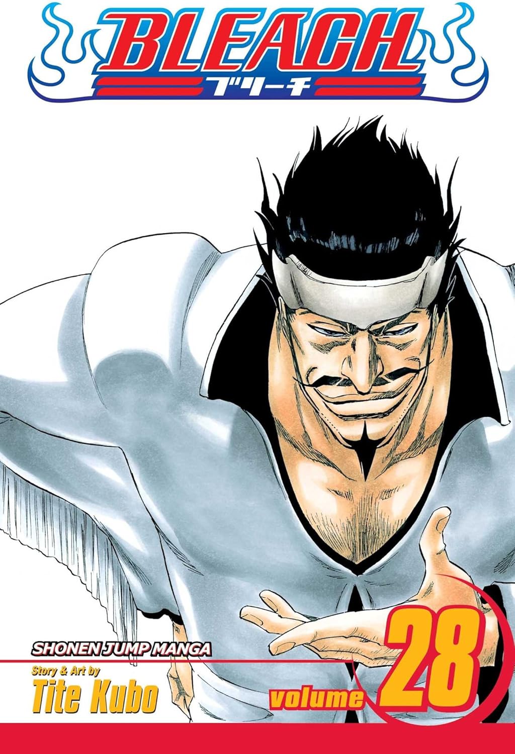 Bleach, Vol. 28: Baron's Lecture Full-Course